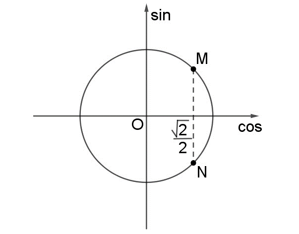 Hình minh họa câu hỏi